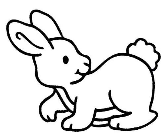 奔跑的小兔子簡筆畫圖片_兔子兒童繪畫作品圖集