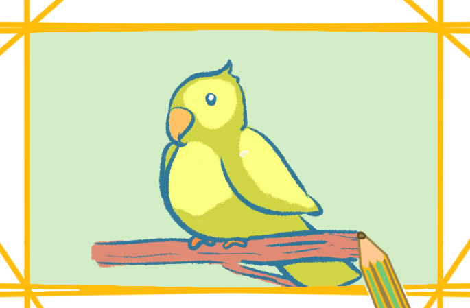 簡單的鸚鵡帶顏色簡筆畫教程步驟圖片_鸚鵡簡筆畫圖片大全