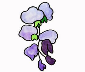 紫藤花怎么畫？