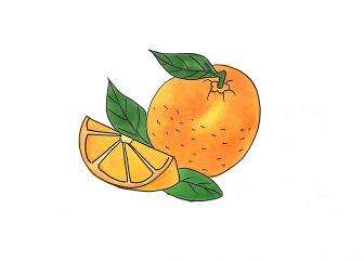 橙子怎么畫簡筆畫，簡單的橙子簡筆畫步驟