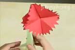 折紙大全-康乃馨的視頻折法